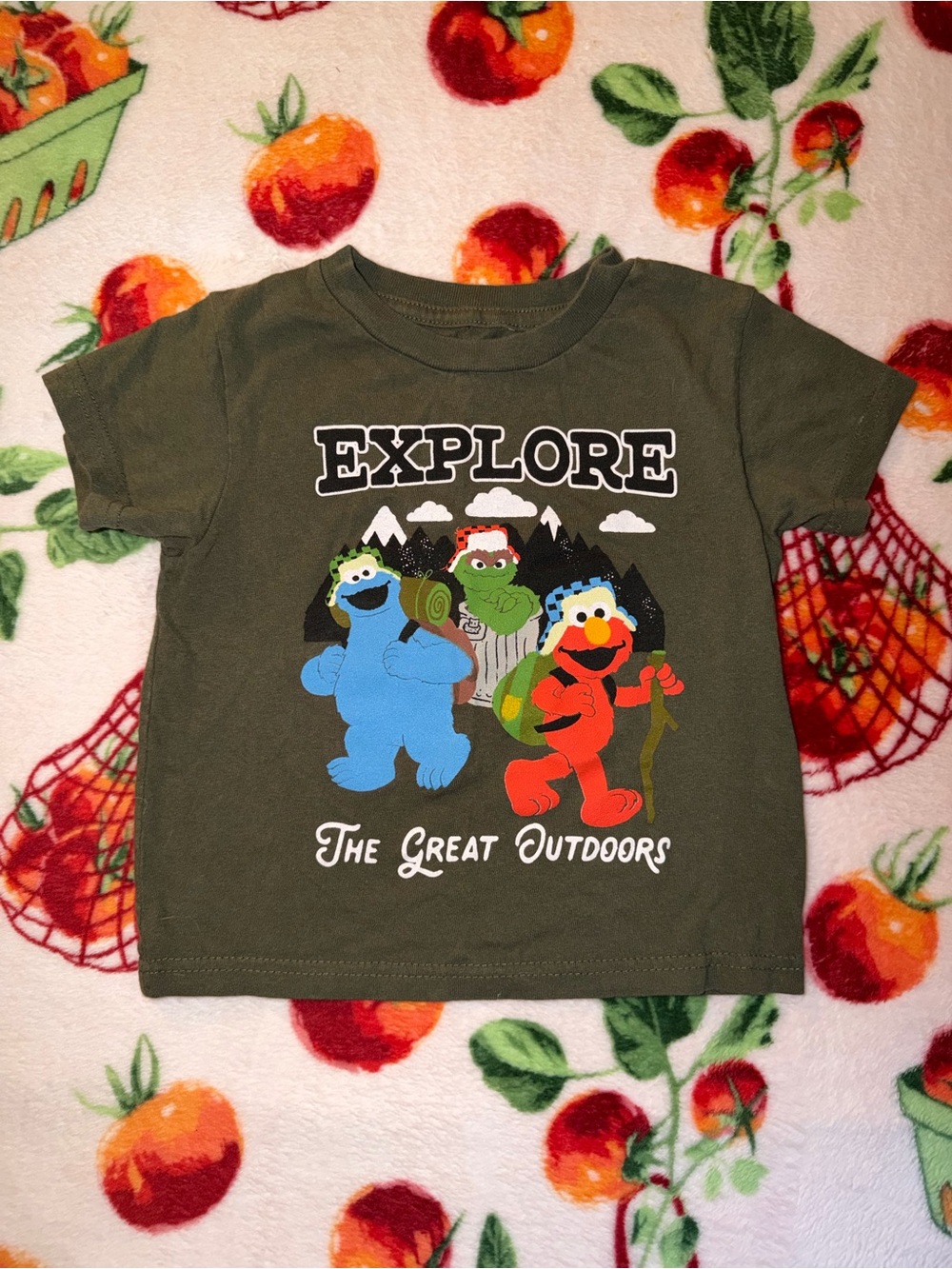 Sesame Street Explore The Great Outdoors Graphic Tee Camp Toddler Kids 4t Olive